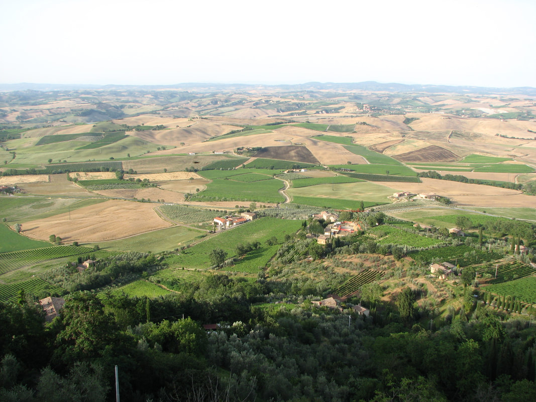 Montalcino facing north
